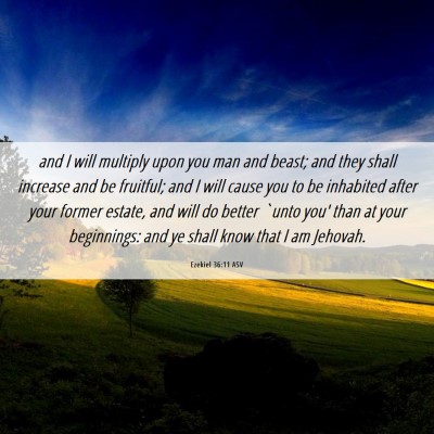 Picture 06 - Ezekiel 36:11 ASV - and I will multiply upon you man and beast; and - Bible Verse Picture