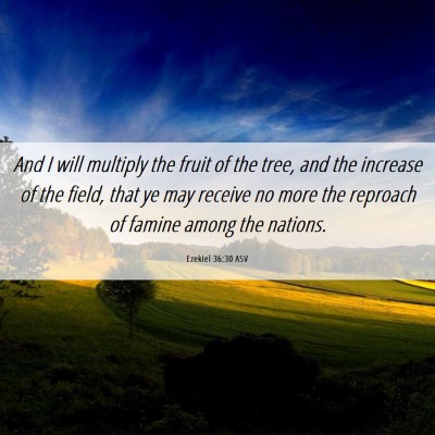 Picture 06 - Ezekiel 36:30 ASV - And I will multiply the fruit of the tree, and - Bible Verse Picture
