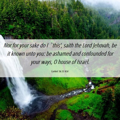 Picture 06 - Ezekiel 36:32 ASV - Nor for your sake do I `this', saith the Lord - Bible Verse Picture