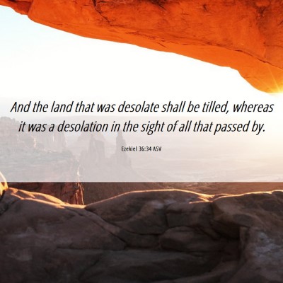 Picture 06 - Ezekiel 36:34 ASV - And the land that was desolate shall be tilled, - Bible Verse Picture