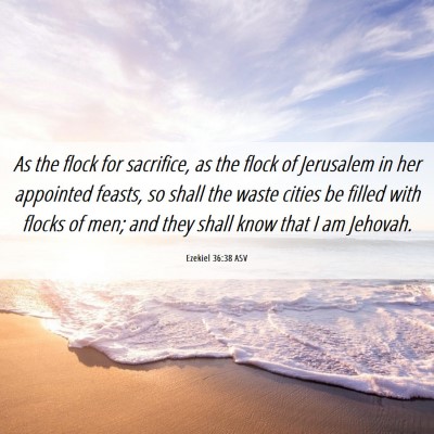 Picture 06 - Ezekiel 36:38 ASV - As the flock for sacrifice, as the flock of - Bible Verse Picture