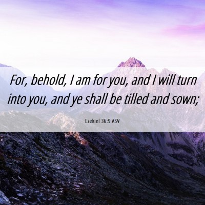 Picture 06 - Ezekiel 36:9 ASV - For, behold, I am for you, and I will turn into - Bible Verse Picture