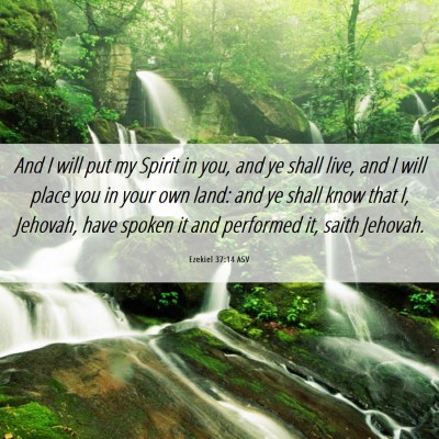 Picture 06 - Ezekiel 37:14 ASV - And I will put my Spirit in you, and ye shall - Bible Verse Picture
