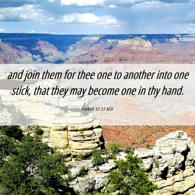 Picture 06 - Ezekiel 37:17 ASV - and join them for thee one to another into one - Bible Verse Picture