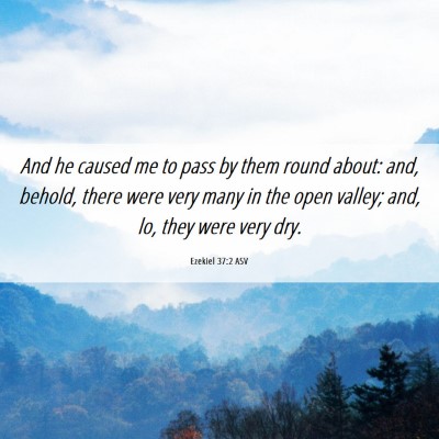 Picture 06 - Ezekiel 37:2 ASV - And he caused me to pass by them round about: - Bible Verse Picture