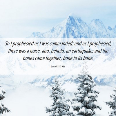 Picture 06 - Ezekiel 37:7 ASV - So I prophesied as I was commanded: and as I - Bible Verse Picture