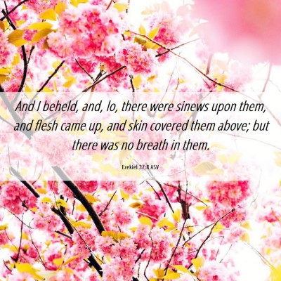 Picture 06 - Ezekiel 37:8 ASV - And I beheld, and, lo, there were sinews upon - Bible Verse Picture