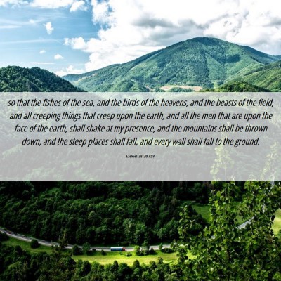Picture 06 - Ezekiel 38:20 ASV - so that the fishes of the sea, and the birds of - Bible Verse Picture