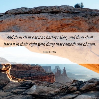 Picture 06 - Ezekiel 4:12 ASV - And thou shalt eat it as barley cakes, and thou - Bible Verse Picture