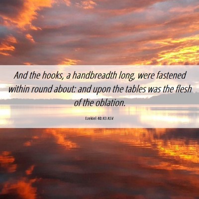 Picture 06 - Ezekiel 40:43 ASV - And the hooks, a handbreadth long, were fastened - Bible Verse Picture