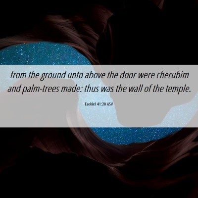 Picture 06 - Ezekiel 41:20 ASV - from the ground unto above the door were cherubim - Bible Verse Picture