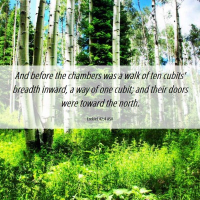 Picture 06 - Ezekiel 42:4 ASV - And before the chambers was a walk of ten cubits' - Bible Verse Picture