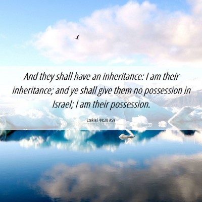 Picture 06 - Ezekiel 44:28 ASV - And they shall have an inheritance: I am their - Bible Verse Picture