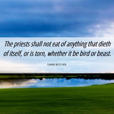 Picture 06 - Ezekiel 44:31 ASV - The priests shall not eat of anything that dieth - Bible Verse Picture