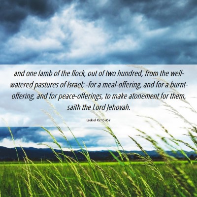Picture 06 - Ezekiel 45:15 ASV - and one lamb of the flock, out of two hundred, - Bible Verse Picture
