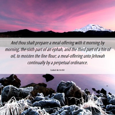 Picture 06 - Ezekiel 46:14 ASV - And thou shalt prepare a meal-offering with it - Bible Verse Picture