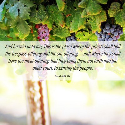 Picture 06 - Ezekiel 46:20 ASV - And he said unto me, This is the place where the - Bible Verse Picture