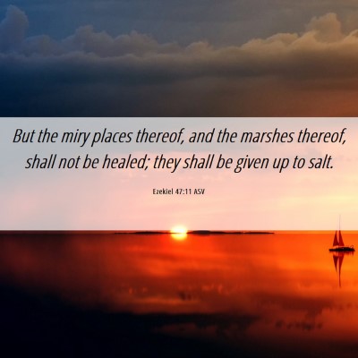 Picture 06 - Ezekiel 47:11 ASV - But the miry places thereof, and the marshes - Bible Verse Picture