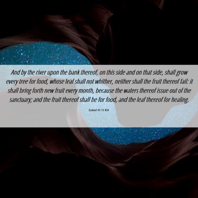 Picture 06 - Ezekiel 47:12 ASV - And by the river upon the bank thereof, on this - Bible Verse Picture