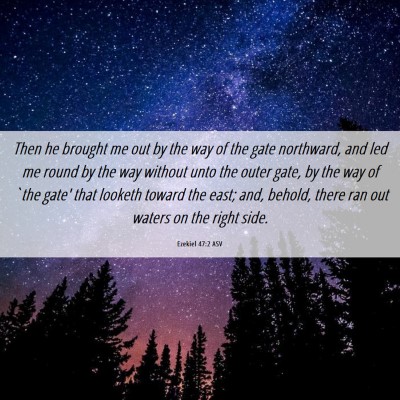 Picture 06 - Ezekiel 47:2 ASV - Then he brought me out by the way of the gate - Bible Verse Picture