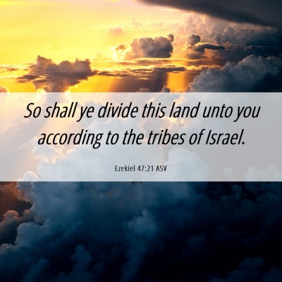 Picture 06 - Ezekiel 47:21 ASV - So shall ye divide this land unto you according - Bible Verse Picture