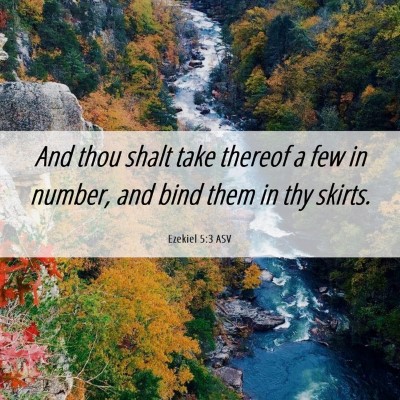 Picture 06 - Ezekiel 5:3 ASV - And thou shalt take thereof a few in number, and - Bible Verse Picture