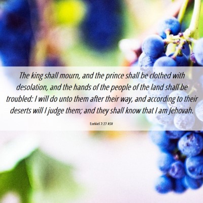 Picture 06 - Ezekiel 7:27 ASV - The king shall mourn, and the prince shall be - Bible Verse Picture