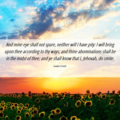 Picture 06 - Ezekiel 7:9 ASV - And mine eye shall not spare, neither will I have - Bible Verse Picture
