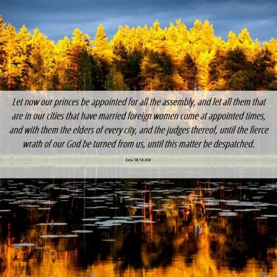 Picture 06 - Ezra 10:14 ASV - Let now our princes be appointed for all the - Bible Verse Picture