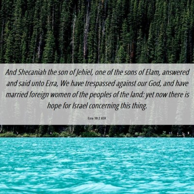 Picture 06 - Ezra 10:2 ASV - And Shecaniah the son of Jehiel, one of the sons - Bible Verse Picture
