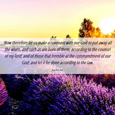Picture 06 - Ezra 10:3 ASV - Now therefore let us make a covenant with our God - Bible Verse Picture