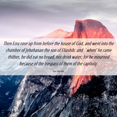 Picture 06 - Ezra 10:6 ASV - Then Ezra rose up from before the house of God, - Bible Verse Picture