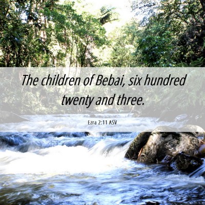 Picture 06 - Ezra 2:11 ASV - The children of Bebai, six hundred twenty and - Bible Verse Picture