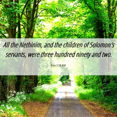 Picture 06 - Ezra 2:58 ASV - All the Nethinim, and the children of Solomon's - Bible Verse Picture