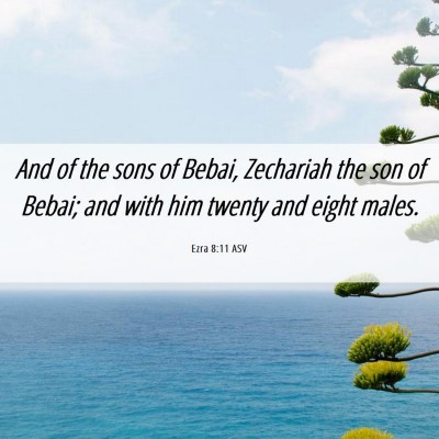 Picture 06 - Ezra 8:11 ASV - And of the sons of Bebai, Zechariah the son of - Bible Verse Picture