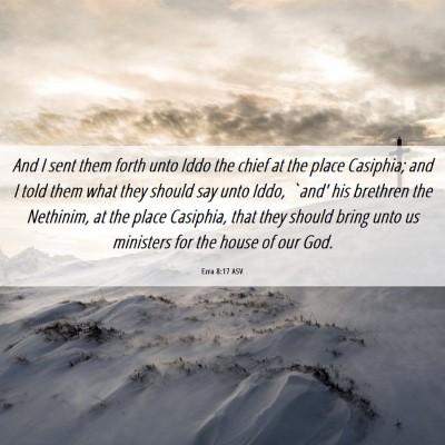 Picture 06 - Ezra 8:17 ASV - And I sent them forth unto Iddo the chief at the - Bible Verse Picture