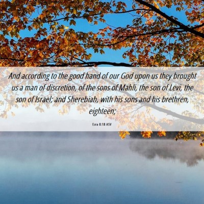 Picture 06 - Ezra 8:18 ASV - And according to the good hand of our God upon us - Bible Verse Picture
