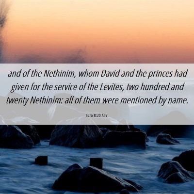 Picture 06 - Ezra 8:20 ASV - and of the Nethinim, whom David and the princes - Bible Verse Picture