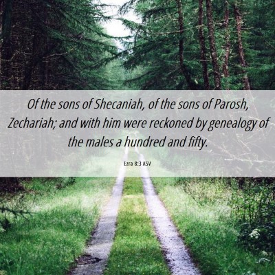 Picture 06 - Ezra 8:3 ASV - Of the sons of Shecaniah, of the sons of Parosh, - Bible Verse Picture