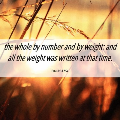 Picture 06 - Ezra 8:34 ASV - the whole by number and by weight: and all the - Bible Verse Picture