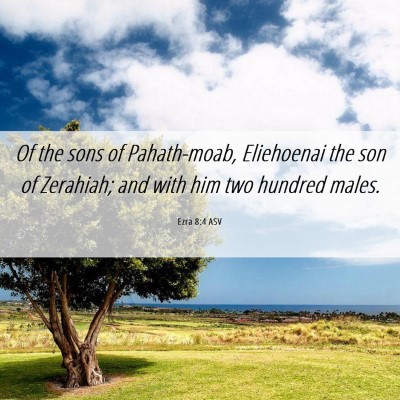 Picture 06 - Ezra 8:4 ASV - Of the sons of Pahath-moab, Eliehoenai the son of - Bible Verse Picture