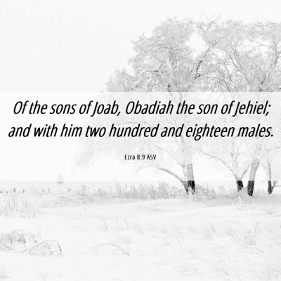 Picture 06 - Ezra 8:9 ASV - Of the sons of Joab, Obadiah the son of Jehiel; - Bible Verse Picture
