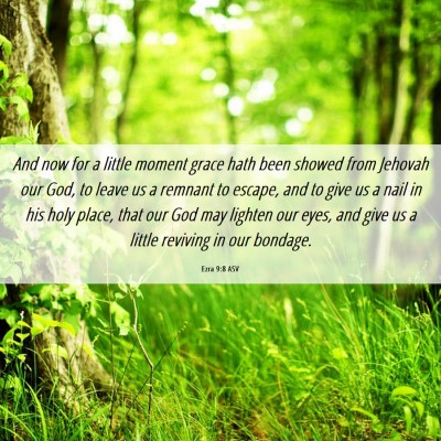 Picture 06 - Ezra 9:8 ASV - And now for a little moment grace hath been - Bible Verse Picture