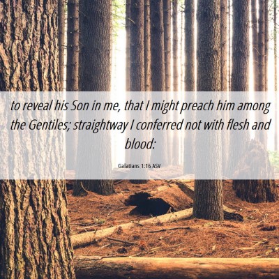 Picture 06 - Galatians 1:16 ASV - to reveal his Son in me, that I might preach him - Bible Verse Picture