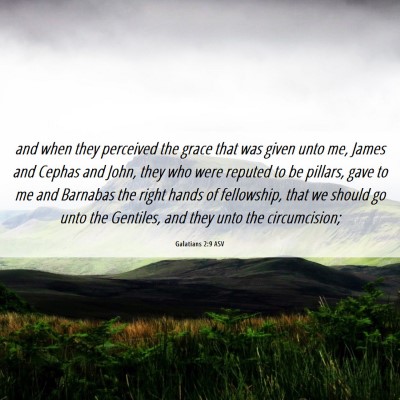 Picture 06 - Galatians 2:9 ASV - and when they perceived the grace that was given - Bible Verse Picture