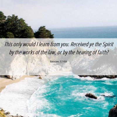 Picture 06 - Galatians 3:2 ASV - This only would I learn from you. Received ye the - Bible Verse Picture