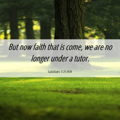 Picture 06 - Galatians 3:25 ASV - But now faith that is come, we are no longer - Bible Verse Picture