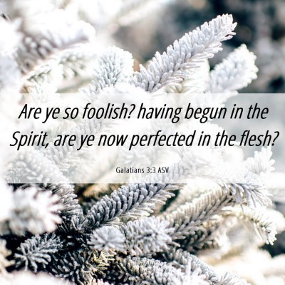 Picture 06 - Galatians 3:3 ASV - Are ye so foolish? having begun in the Spirit, - Bible Verse Picture