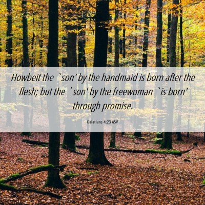 Picture 06 - Galatians 4:23 ASV - Howbeit the `son' by the handmaid is born after - Bible Verse Picture