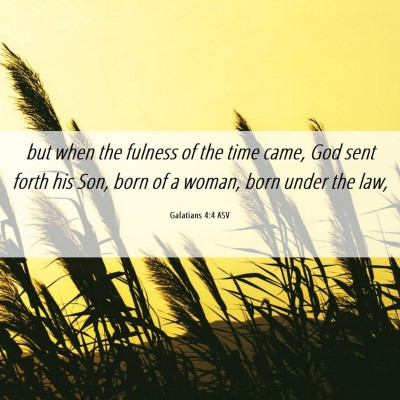Picture 06 - Galatians 4:4 ASV - but when the fulness of the time came, God sent - Bible Verse Picture